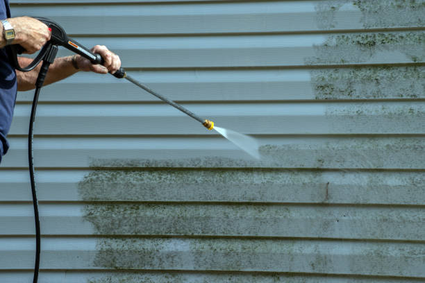 Best Roof Washing  in Brazil, IN